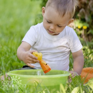 ������� ��� ������� ���������� �������: ��������, ���������, ������������