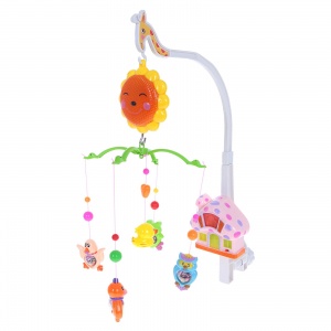 5 ���� �������� ��� ����� ���������